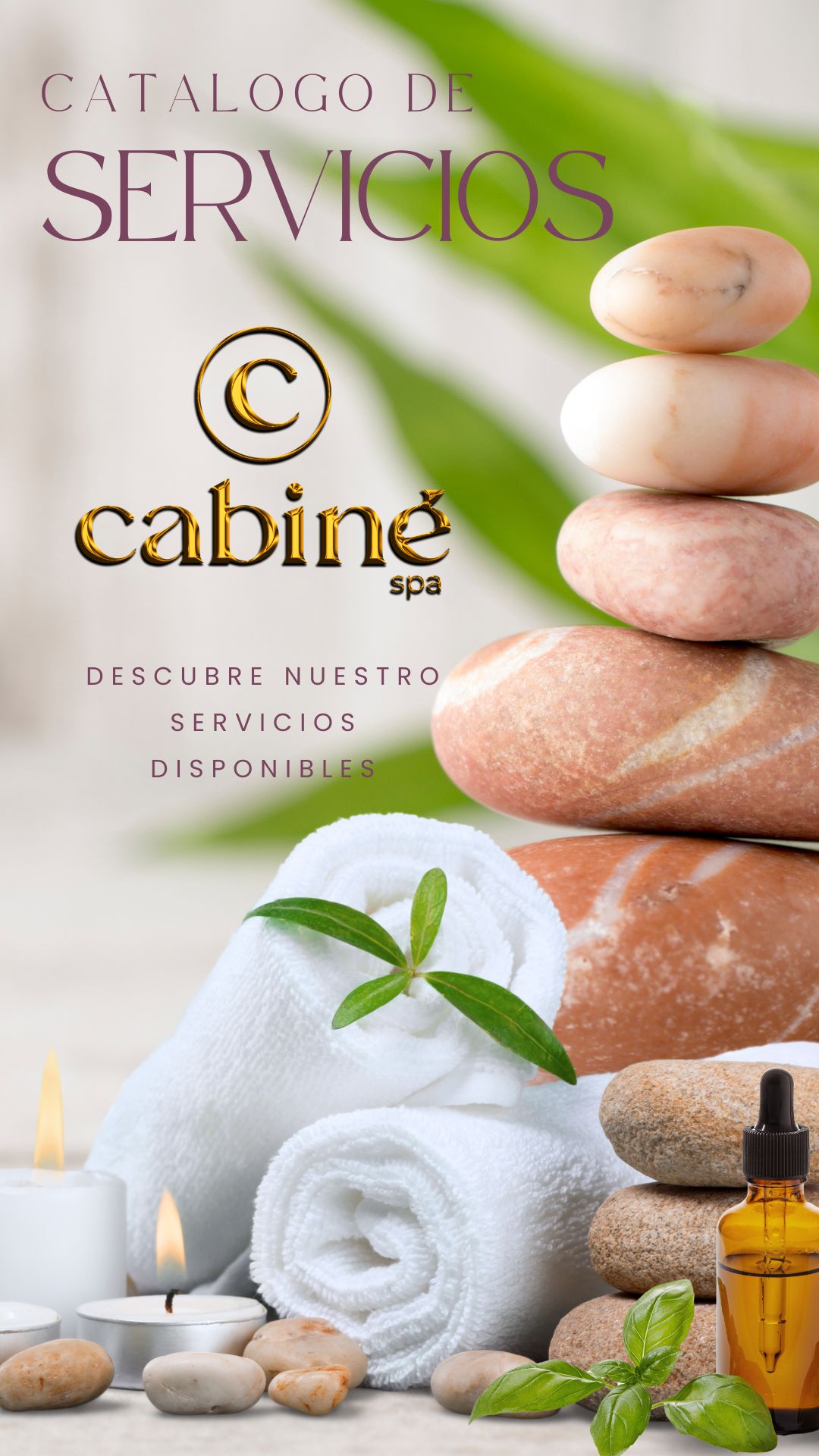 Descarga Nuestros Servicios